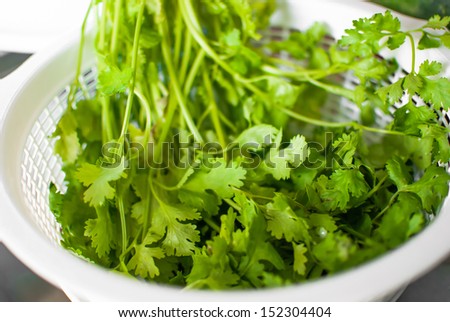 Fresh coriander in a basket for cooking