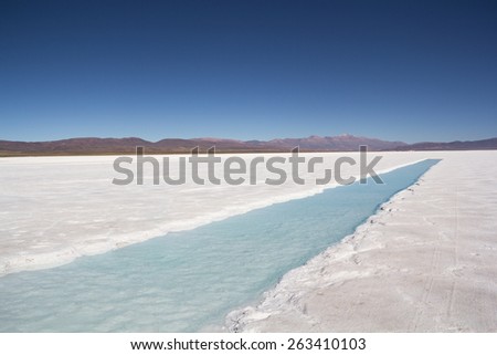 \'Big Salinas\' is the name of a neighboring flat desert of salt in the Argentine provinces of Salta and Jujuy, located in the Puna de Atacama, in the Argentine Northwest.