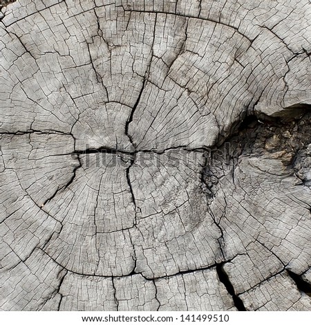 Abstract crack wood spiral style background