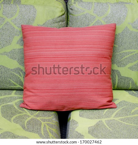 contrast colors of a modern living room with green sofa and red cushion