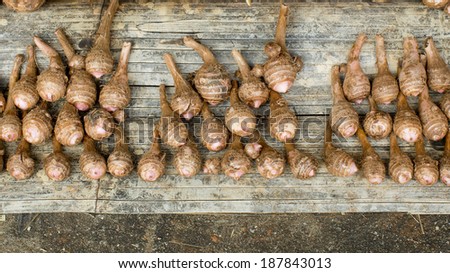 Group of taro roots