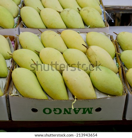 Thai mangoes in market. Premium size mangoes