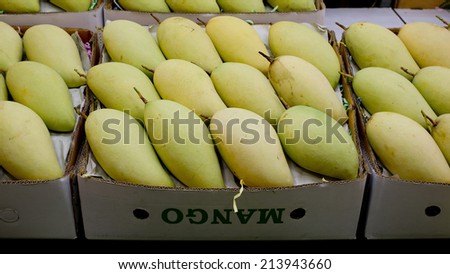 Thai mangoes in market. Premium size mangoes