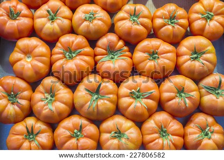 pile of red tomatoes Color