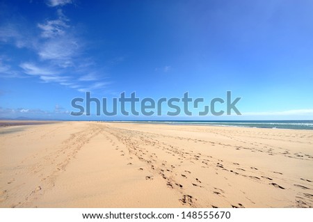 Footsteps in the sand in a big beach on a sunny day with a blue sky, thin clouds and sea in the horizon and small figures of people walking in the distance, Fuerteventura, Canary islands
