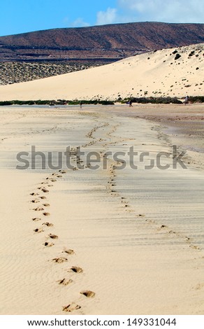 Fuerteventura, Canary islands. Sand beach with footsteps in the sand on a sunny day with people walking in the horizon.