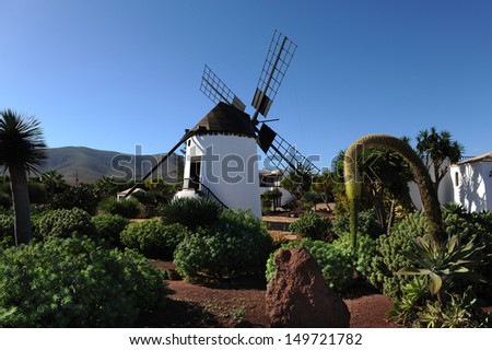 Fuerteventura, Canary Islands. A windmill in the middle of a garden, with a big curvy plant.
