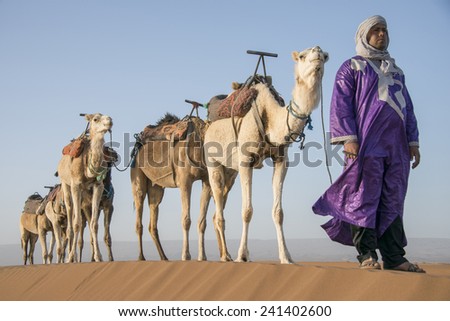 SAHARA DESERT, MOROCCO, MARCH 6, 2014.  A berber standing on a sand dune with his caravan of camels in the spring in the Sahara Desert in Morocco, on March 6th, 2014.
