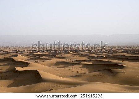 A sea of sand dunes in the Sahara desert in Erg Chegaga in Morocco front of a forest that is far in the horizon behind the mist in the spring during a hot sunny day.