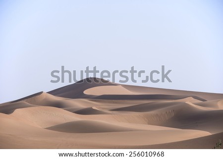 People sitting on the top of a great dune far in the distance in the distance in the Sahara desert, in Morocco.