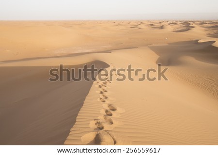 Footsteps in the sand in the Sahara desert in Erg Chegaga in Morocco in Morocco in the spring during a hot sunny day.