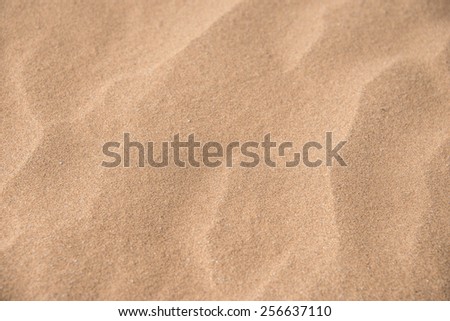 Macro closeups of the patterns on a sand in the Sahara desert in Erg Chegaga in Morocco in Morocco in the spring during a hot sunny day.