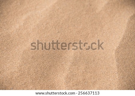 Macro closeups of the patterns on a sand in the Sahara desert in Erg Chegaga in Morocco in Morocco in the spring during a hot sunny day.