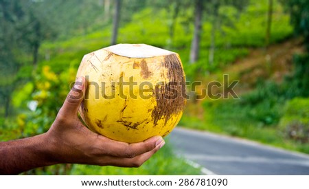 King Coconut, King Coconut Is A Well-Known Source Of Carbohydrates, Vitamin E, Iron, Calcium, Phosphorus And High Dietary Soluble Fibre, Appreciable Amounts Of Protein And Fat