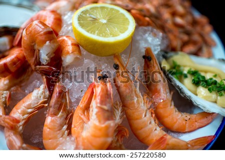 Shrimps on the ice with lemon and sause in oyster