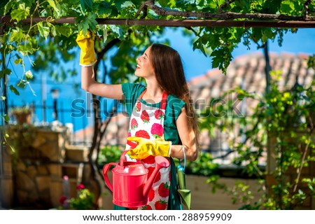 Young and pretty woman with watering can, apron and yellow gloves  working in the garden with grapes