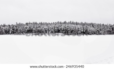 panorama of a forest covered by snow by a small lake in sweden