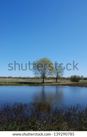 Spring tree reflection on the water