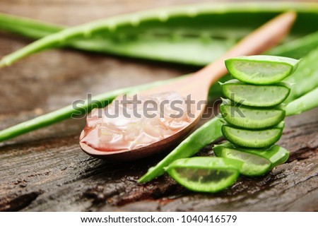Aloe vera plant and Aloe vera gel in spoon on wooden floor.