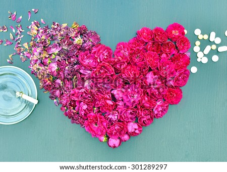 Stop Smoking. Smoking is dangerous for health. Heart made of fresh roses and dried with a cigarette and pills.
