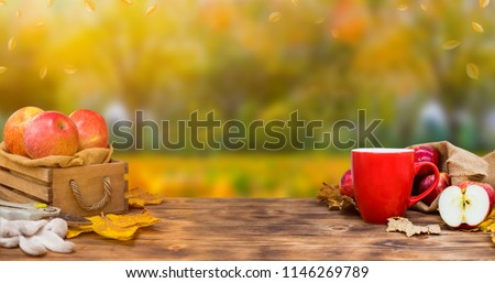 Fall harvest cornucopia. Cup of Hot apple tea for fresh start of the day. Autumn season warm drink. Copy space on wood background.