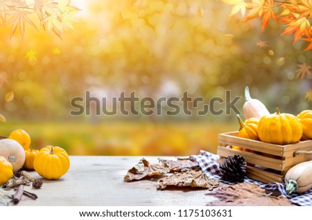 Thanksgiving with fruit and vegetable on wood in autumn and Fall harvest cornucopia season