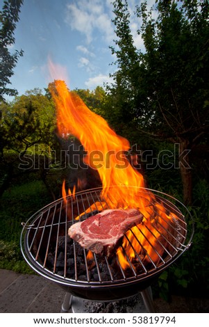 stock photo : t bone steak on a grill outdoors