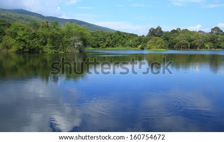 Tree and clouds and mountains with along a wetlands river bank.