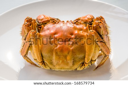Steam Cooked Chinese Hairy Crab Isolated On White Plate