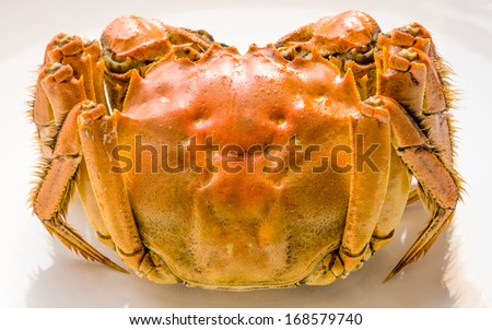 Steam Cooked Chinese Hairy Crab Isolated On White Plate