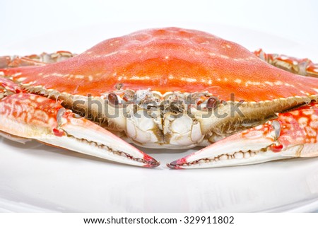 Steamed Swimming crab in white plate isolated on white background