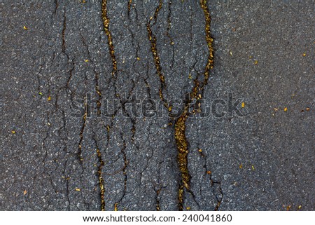 crack road surface fill with yellow leaf