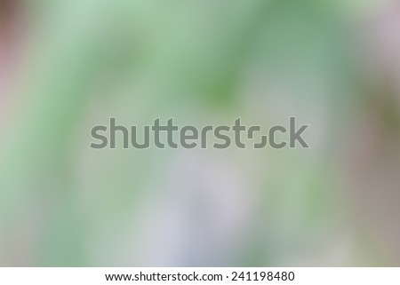 abstract pale green background