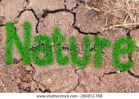 grass and dry crack soil background, save environment concept