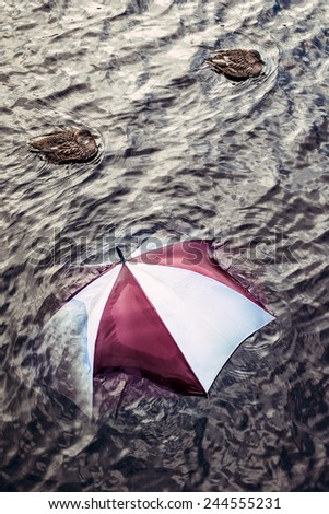 Raining too much ... Escape the bad weather, vacation concept. Umbrella swimming in water.