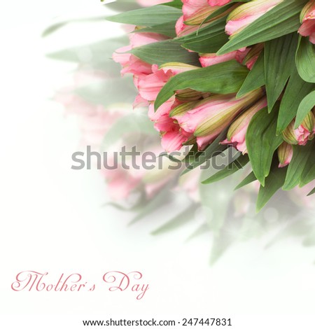 Fresh spring flowers as a holiday postcard design with copy space on white background