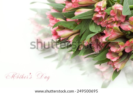 Fresh spring flowers as a holiday postcard design with copy space on white background