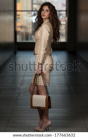 Elegant Lady With Stylish Leather Bag