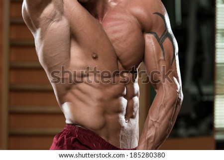 Abdominal Muscle Close-Up