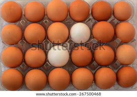 Two white eggs stand out amongst a case of brown eggs. This is akin to standing out in a crowd.
