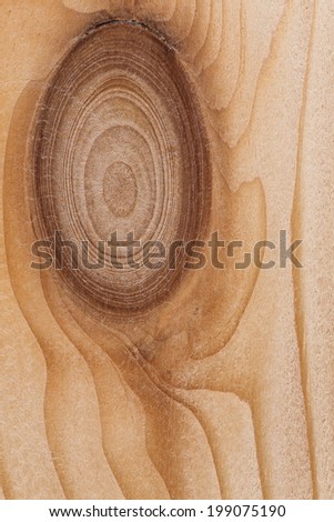 Old light pine grunge wooden board with decorative wood knots background texture surface
