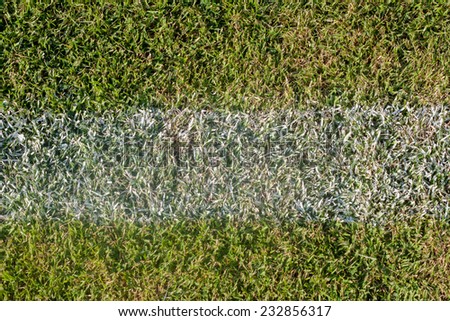 green grass with line on football pitch