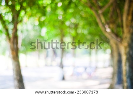 Blur green leaves with bokeh, abstract background, template