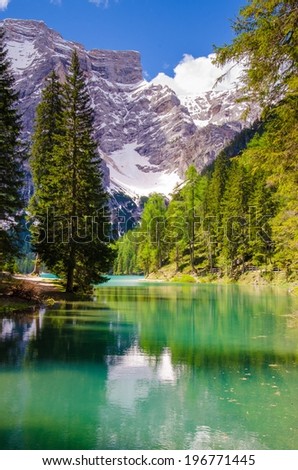 Mountain lake / tarn with deep green water, dark trees and snow covered mountains