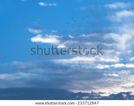 White clouds and blue sky, some birds are visible too