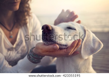 owner caressing gently her dog
