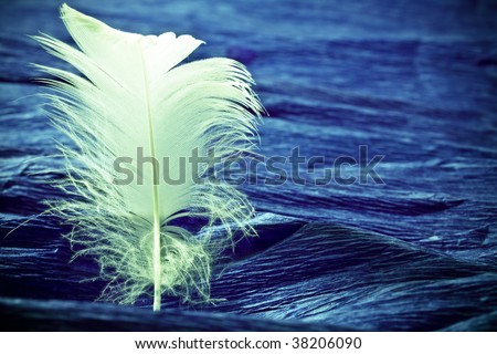 Single white bird feather in artistic photo