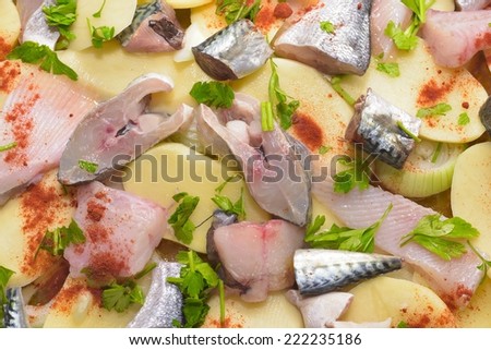 Preparing fish stew in casserole.