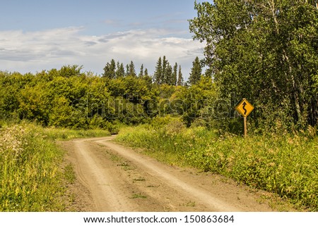 A curvy road warning sign beside a dirt road lined with trees