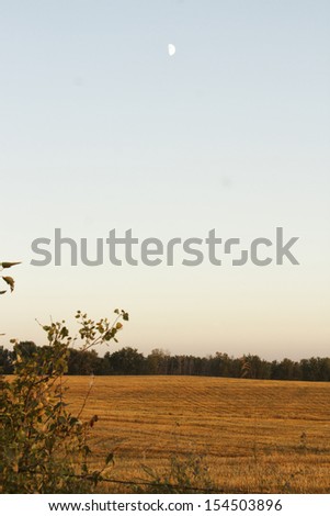 A harvest field at sunset with distant trees
